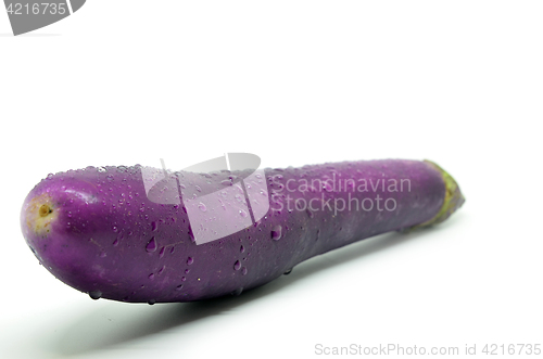 Image of Purple eggplant with water drop