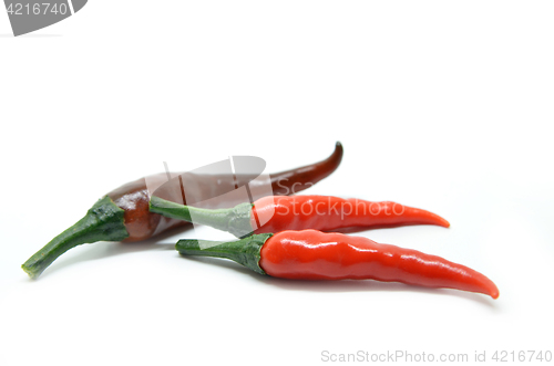 Image of Red chili pepper