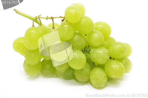 Image of Fresh green grapes