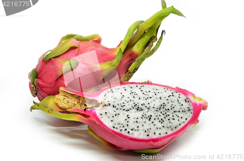 Image of Vivid and Vibrant Dragon Fruit 