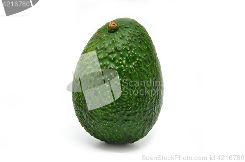 Image of Fresh green Avocado