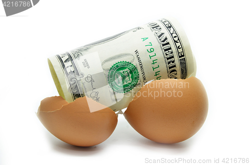 Image of US dollar on cracked egg