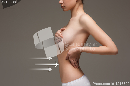 Image of Women belly with the drawing arrows