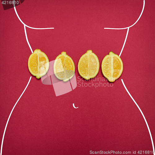 Image of The pop art collage of female body ant fresh lemons on red background