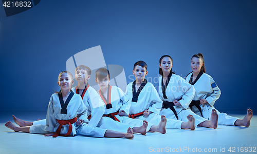 Image of The studio shot of group of kids training karate martial arts