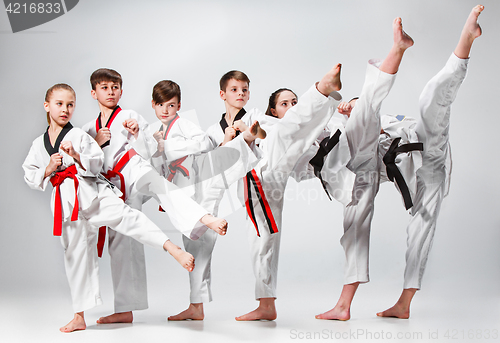 Image of The studio shot of group of kids training karate martial arts