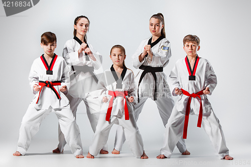 Image of The studio shot of group of kids training karate martial arts