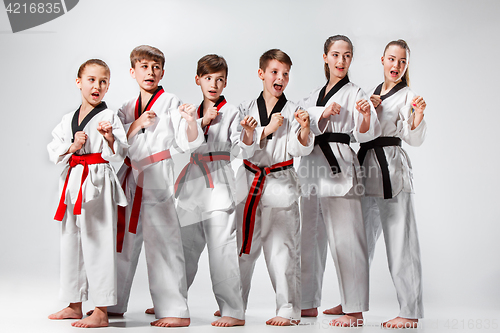 Image of The studio shot of group of kids training karate martial arts