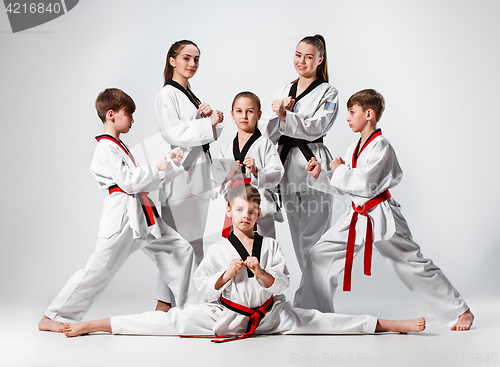 Image of The studio shot of group of kids training karate martial arts