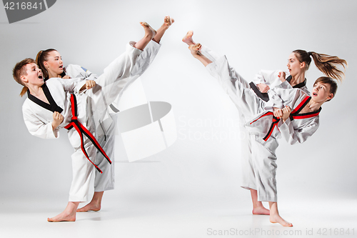 Image of The studio shot of group of kids training karate martial arts