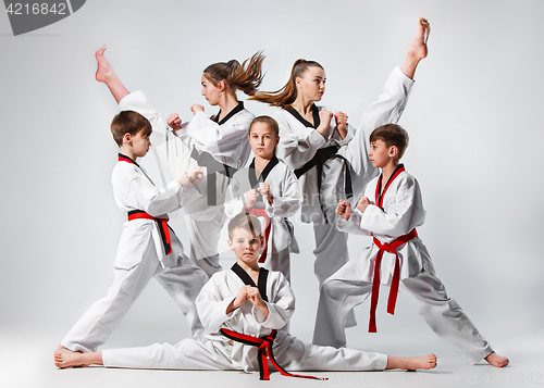 Image of The studio shot of group of kids training karate martial arts