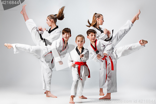 Image of The studio shot of group of kids training karate martial arts