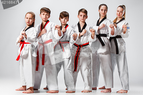 Image of The studio shot of group of kids training karate martial arts