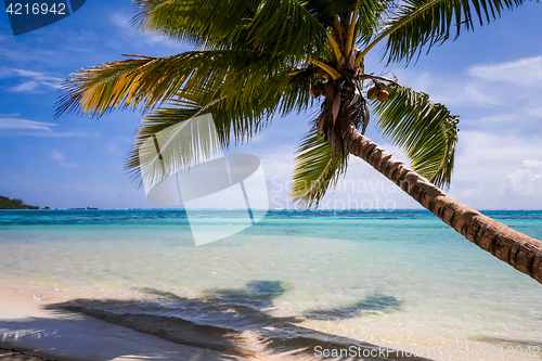 Image of Paradise tropical beach and lagoon in Moorea Island