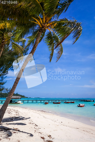 Image of white sand beach and pier on the lagoon in Moorea Island