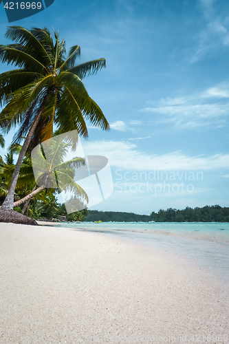 Image of Paradise tropical beach and lagoon in Moorea Island