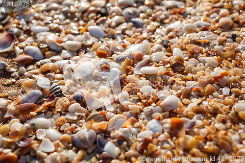Image of Sea pebbles closeup