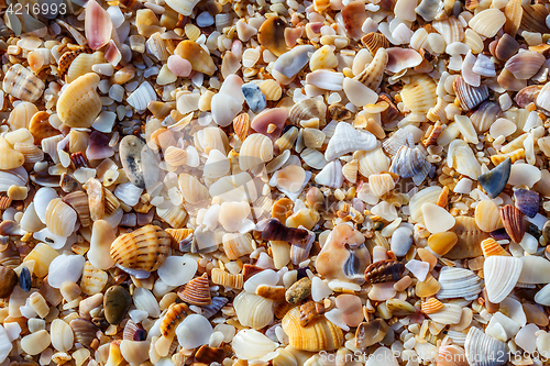 Image of Sea pebbles closeup