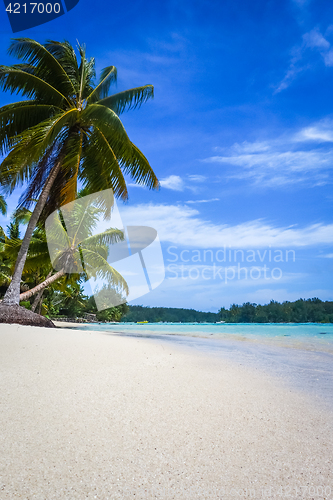 Image of Paradise tropical beach and lagoon in Moorea Island