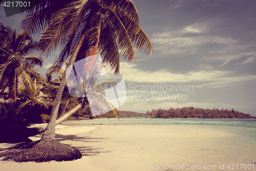 Image of Paradise tropical beach and lagoon in Moorea Island