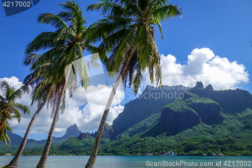 Image of Cook’s Bay and lagoon in Moorea Island