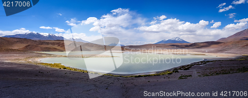 Image of Laguna Honda in sud Lipez Altiplano reserva, Bolivia