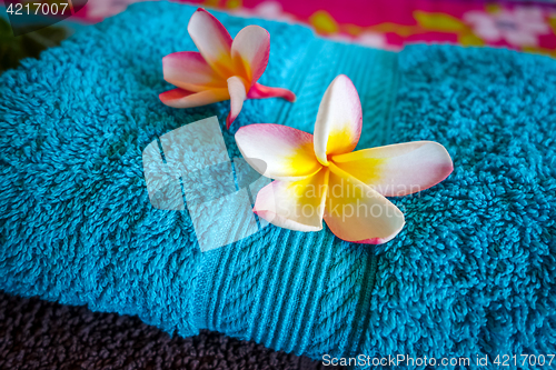 Image of White tiare flowers on a towel