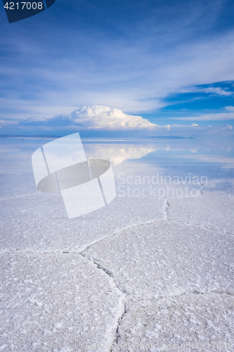 Image of Salar de Uyuni desert, Bolivia