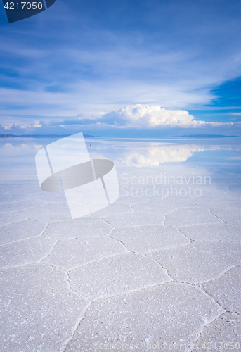 Image of Salar de Uyuni desert, Bolivia