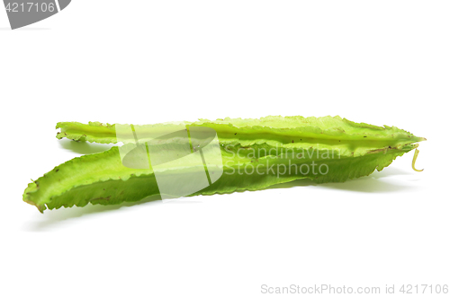 Image of Winged beans on white background