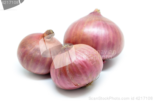 Image of Purple onion isolated on a white background