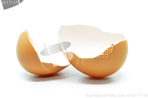 Image of Broken egg shell