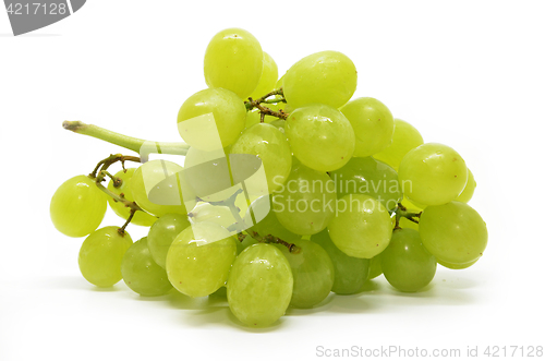 Image of Fresh green grapes
