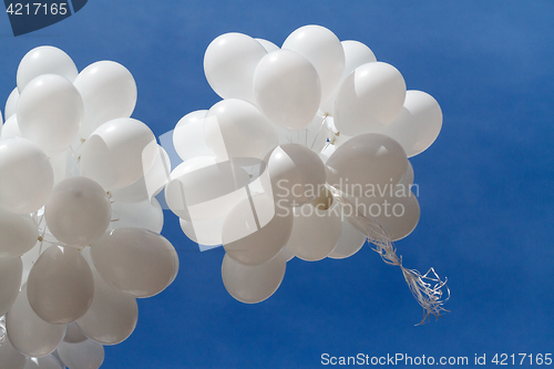 Image of White balloons against the sky