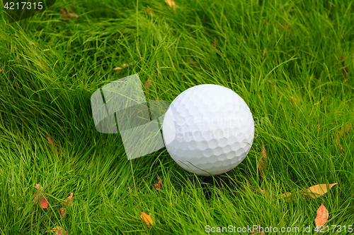 Image of Golf ball close-up