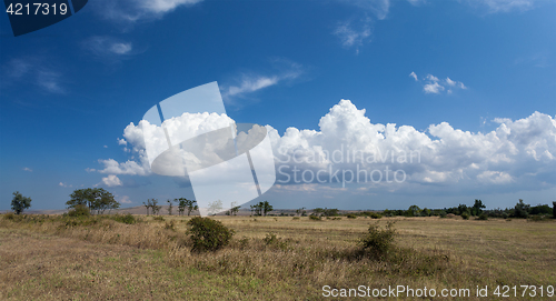 Image of Beautiful steppe landscape