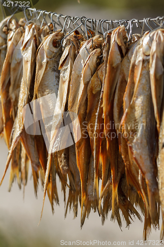 Image of dried fish on a rope