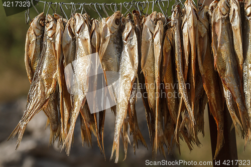 Image of dried fish on a rope