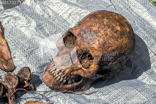 Image of Skeleton remains of a buried unknown victim