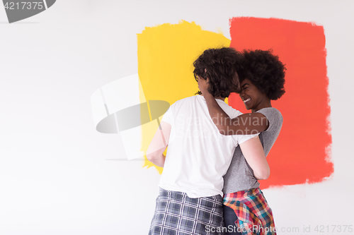 Image of multiethnic couple painting interior wall