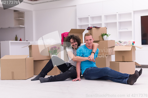 Image of young  gay couple moving  in new house