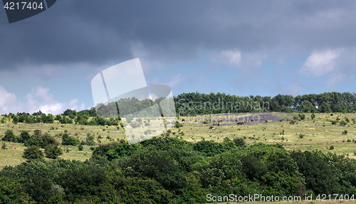 Image of pasture on a mountain plateau