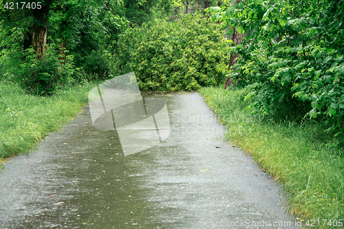 Image of Consequences of the Hurricane