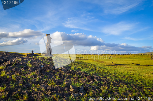 Image of Moai statue, ahu akapu, easter island