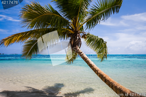 Image of Paradise tropical beach and lagoon in Moorea Island