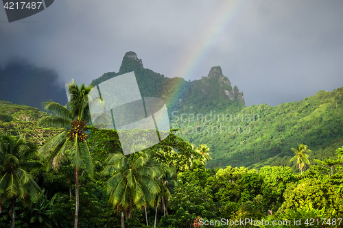 Image of Rainbow on Moorea island jungle and mountains landscape