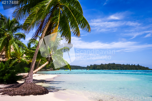 Image of Paradise tropical beach and lagoon in Moorea Island