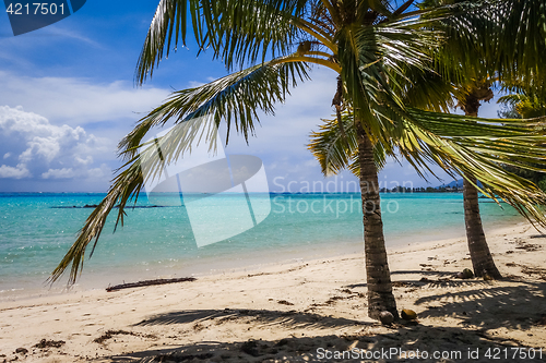 Image of Paradise tropical beach and lagoon in Moorea Island