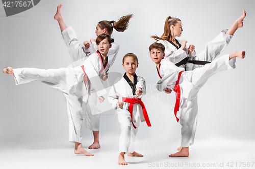 Image of The studio shot of group of kids training karate martial arts