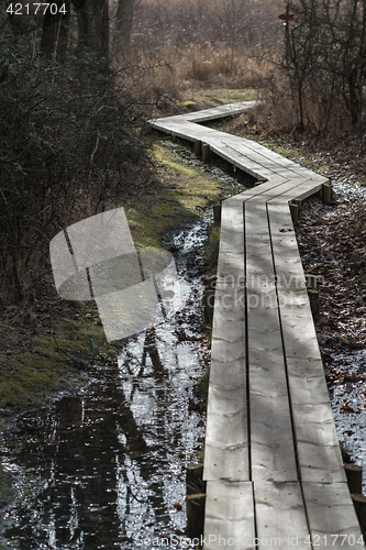 Image of Curved wooden footpath